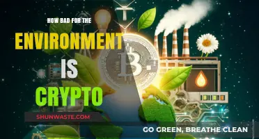 Crypto's Environmental Impact: Uncovering the Hidden Costs of Digital Currencies