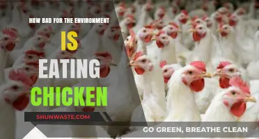 Environmental Impact of Chicken Consumption: Uncovering the Hidden Costs