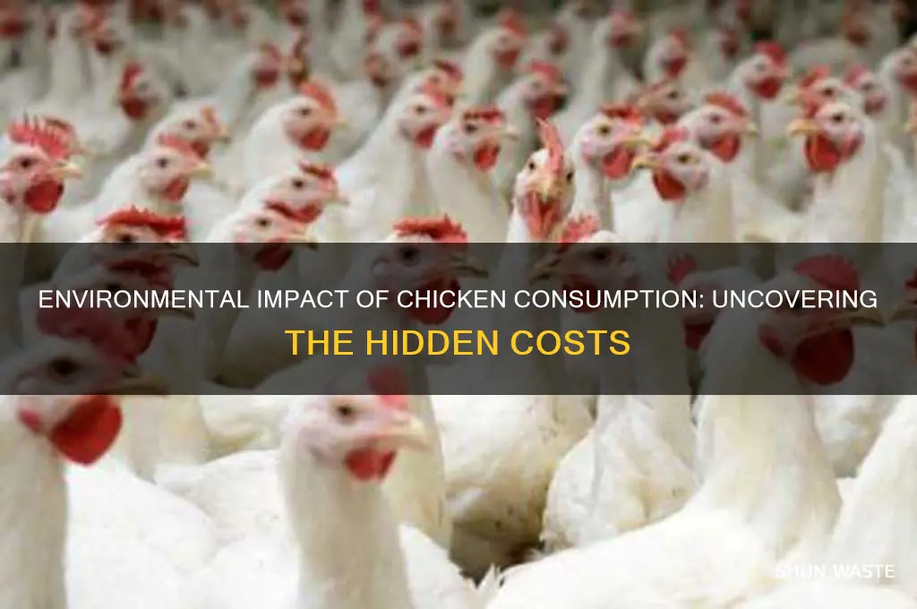 how bad for the environment is eating chicken