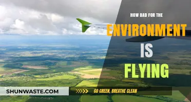 Flying's Environmental Impact: Uncovering the Hidden Costs of Air Travel