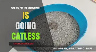 Catless Living: Uncovering the Environmental Impact of Avoiding Feline Companions