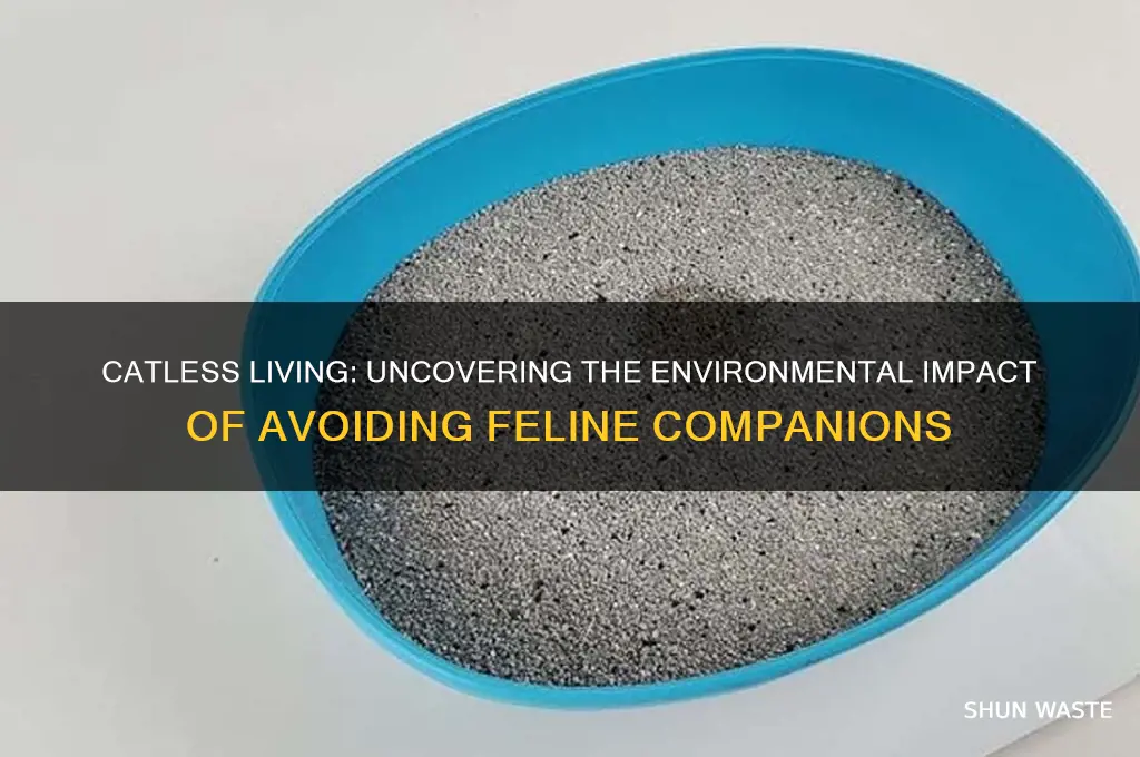 how bad for the environment is going catless