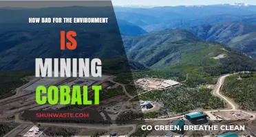 Cobalt Mining's Environmental Impact: Uncovering the Hidden Costs
