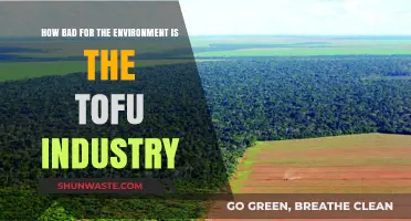 Tofu's Environmental Impact: Uncovering the Hidden Costs of Plant-Based Protein