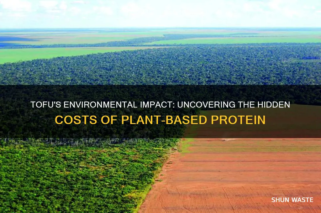 how bad for the environment is the tofu industry