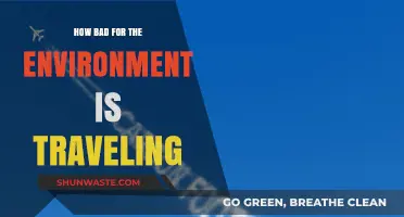Travel's Environmental Impact: Exploring the Carbon Footprint of Exploration