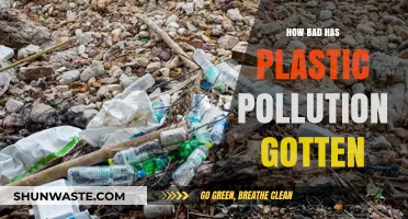 Plastic Pollution: An Ever-Growing Global Crisis