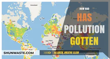 The Dark Reality of Pollution: A Global Crisis