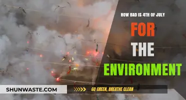 Fourth of July Fireworks: Environmental Impact and Sustainable Celebrations