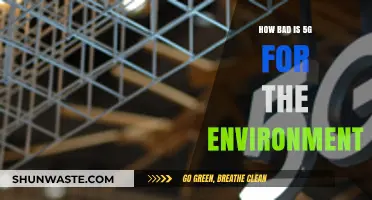 Environmental Impact of 5G: Uncovering the Hidden Ecological Costs