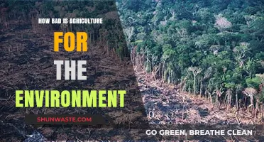 Agriculture's Environmental Impact: Uncovering the Hidden Costs of Farming