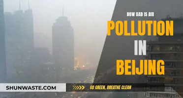 Air Pollution in Beijing: A Dangerous Reality