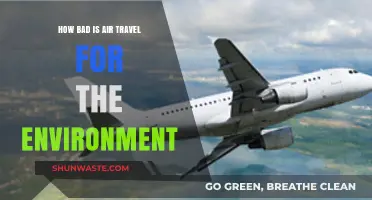 Flying's Environmental Impact: Uncovering Air Travel's Hidden Carbon Footprint
