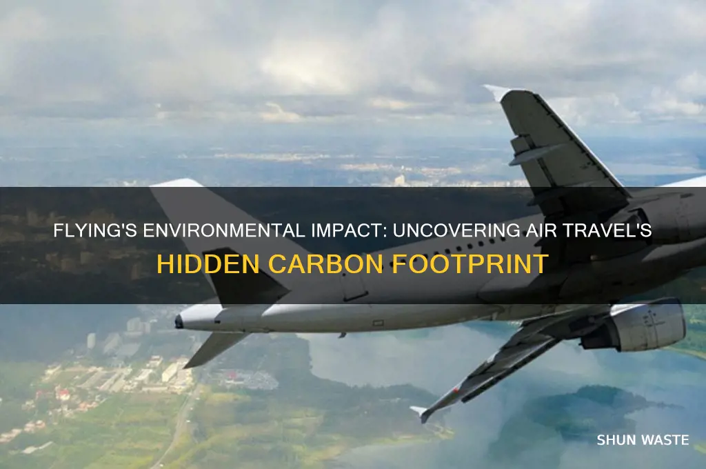 how bad is air travel for the environment