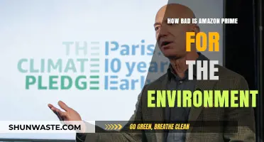 Amazon Prime's Environmental Impact: Unpacking the Hidden Ecological Costs