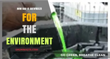 Antifreeze's Environmental Impact: A Toxic Threat to Ecosystems and Wildlife