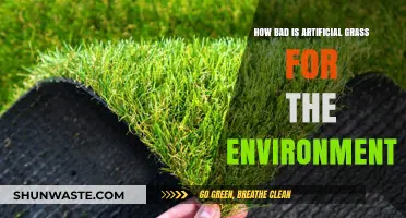 Artificial Grass vs. Nature: Uncovering Its Hidden Environmental Impact