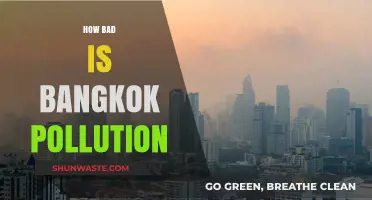 Bangkok's Pollution Problem: A City Choking on Smog
