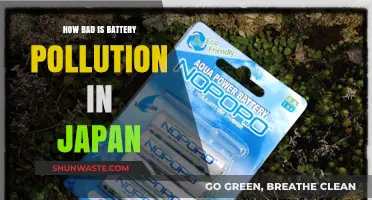 Japan's Battery Pollution Crisis: Understanding the Impact