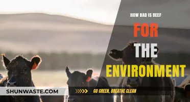 Beef's Environmental Impact: Uncovering the Hidden Costs of Cattle Farming