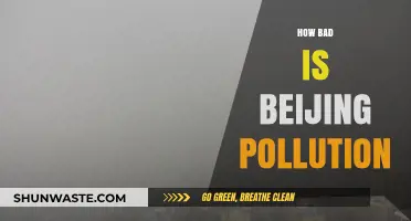Beijing's Pollution: A City Choking on Smog