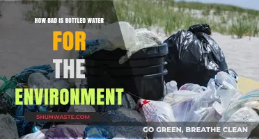 The Hidden Environmental Costs of Bottled Water: A Deep Dive