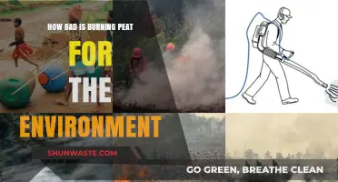 Burning Peat: Environmental Impact and Long-Term Ecological Consequences Explained