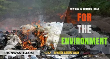 Burning Trash: Uncovering the Devastating Environmental Impact and Consequences