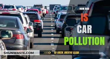 Car Pollution: A Lethal Reality