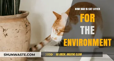 The Environmental Impact of Cat Litter: A Sustainable Solution Needed