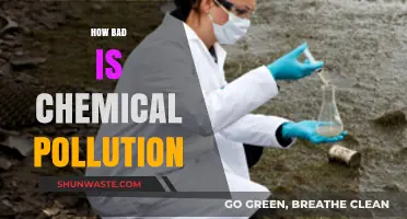 Chemical Pollution: A Slow Poisoning of Our Planet