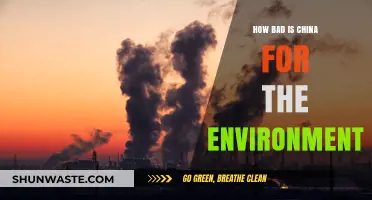 China's Environmental Impact: A Critical Analysis of Its Ecological Footprint