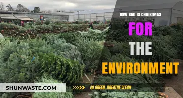 Christmas Environmental Impact: Unwrapping the Holiday's Hidden Ecological Costs