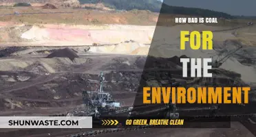 Coal's Environmental Impact: Uncovering the Devastating Effects on Our Planet