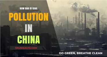 China's Coal Pollution: A Critical Crisis