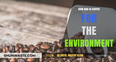 Coffee's Environmental Impact: Uncovering the Hidden Costs of Your Daily Brew