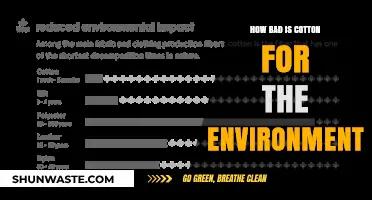 The Environmental Impact of Cotton: A Sustainable Fashion Dilemma