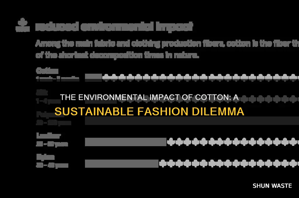 how bad is cotton for the environment