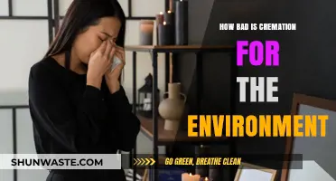 Cremation's Environmental Impact: Uncovering the Hidden Ecological Costs