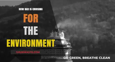Cruising's Environmental Impact: Uncovering the Hidden Costs of Ocean Travel