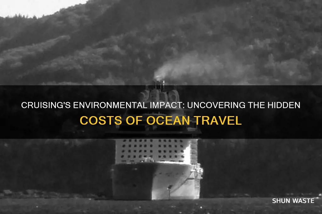 how bad is cruising for the environment
