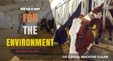 Dairy's Environmental Impact: Uncovering the Hidden Costs of Milk Production