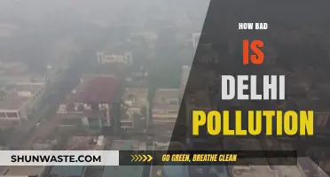 Delhi's Pollution: A Crisis Unfolding