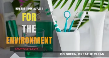 Eco-Impact of Dental Floss: Unraveling Its Environmental Consequences