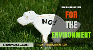 Dog Poop's Environmental Impact: A Hidden Threat to Ecosystems