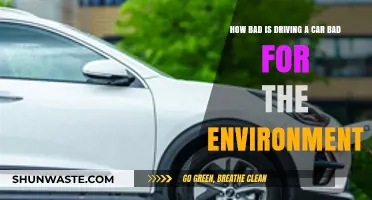 Driving's Environmental Impact: How Harmful Are Your Car Habits?