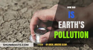 Earth's Pollution: A Global Crisis