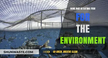 Is Eating Fish Harming Our Planet? Environmental Impact Explored