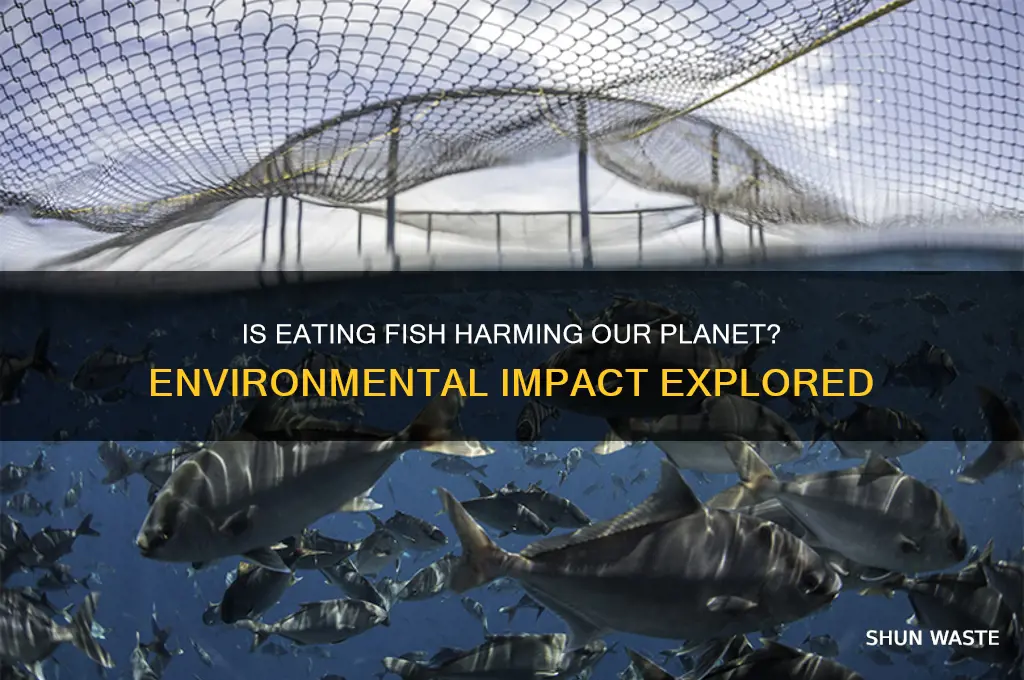 how bad is eating fish for the environment