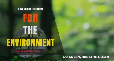 Ethereum's Environmental Impact: A Critical Look at Its Carbon Footprint